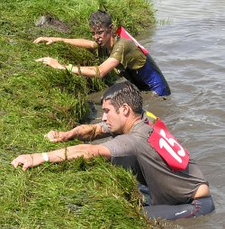 Cross Country Runners