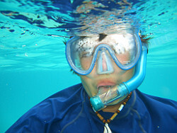 fogged up mask when snorkeling
